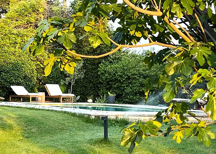 Charmante Maisonnette Avec Jardin Et Piscine